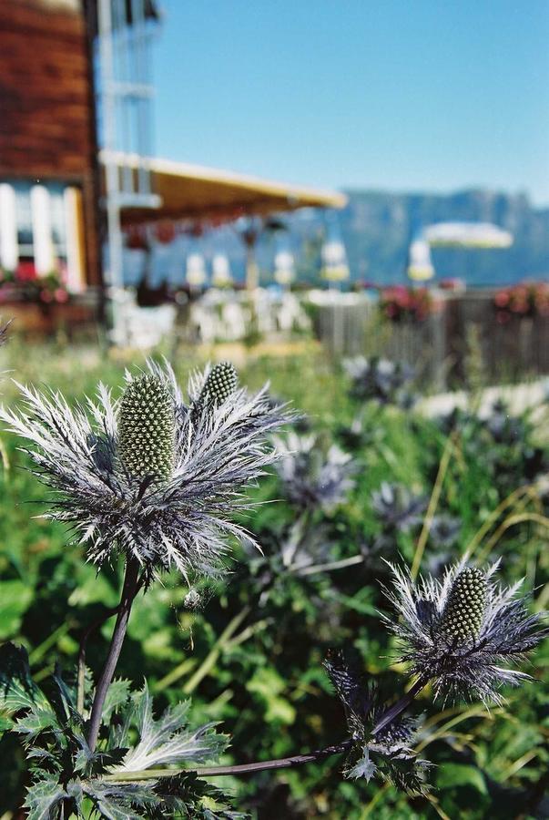 Berghotel Schonhalden Flums Zewnętrze zdjęcie